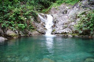 800px-Rain_forest