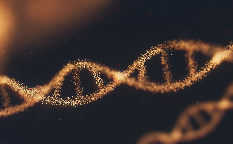 Sten Niklasson: Avslöjande DNA