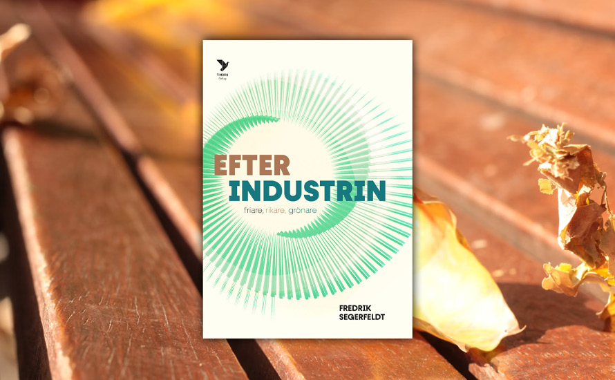 Tobias Ström: Fredrik Segerfeldt utmanar industristödens logik