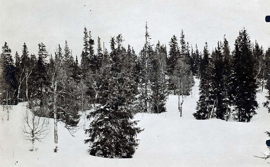 Amanda Wollstad: Valet står inte mellan minor eller fred