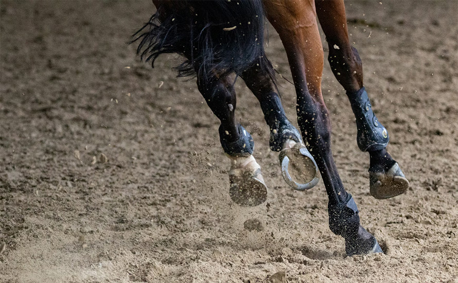 Renate Larssen: Internationella Ridsportförbundet öppnar dörren för Kreml