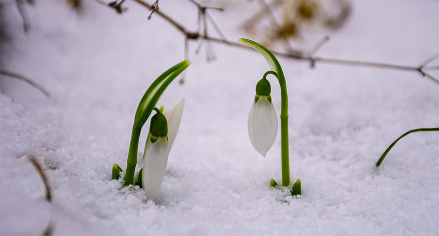 Veckopoeten: Kapten Vinter och Den nya klimatläran