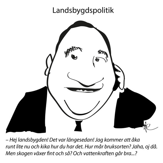 Landsbygdspolitik