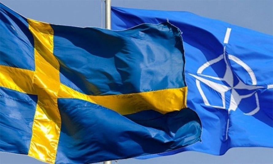 Gunnar Hökmark: Kommer Andersson låta NATO-motståndarna diktera svensk säkerhetspolitik?
