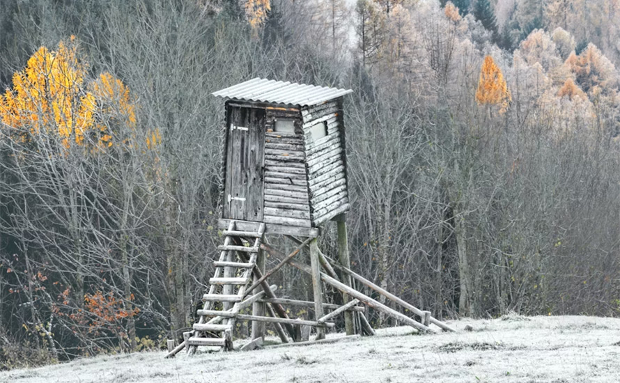 Pia Clerté: Nya vapenlagen – som en dåligt dubbad film