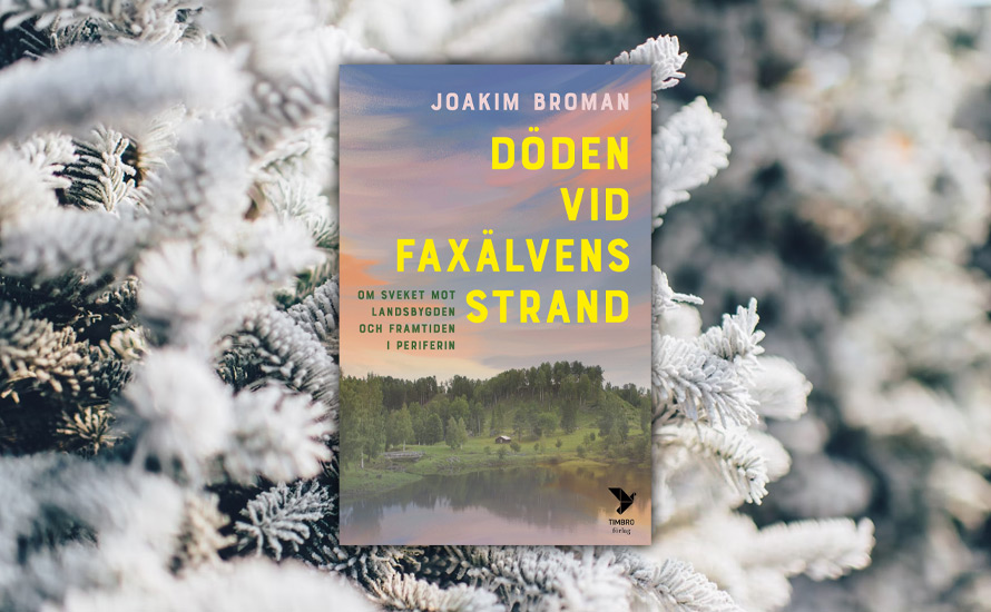 Teodor Johansson: Döden vid Faxälvens strand speglar såväl Ödeshög som Ramsele