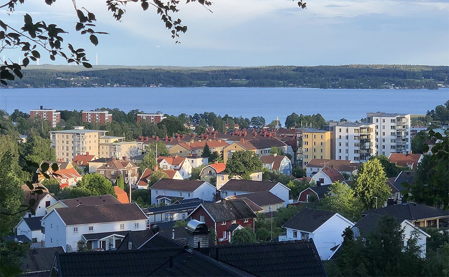 Intervju: Så vinner man val