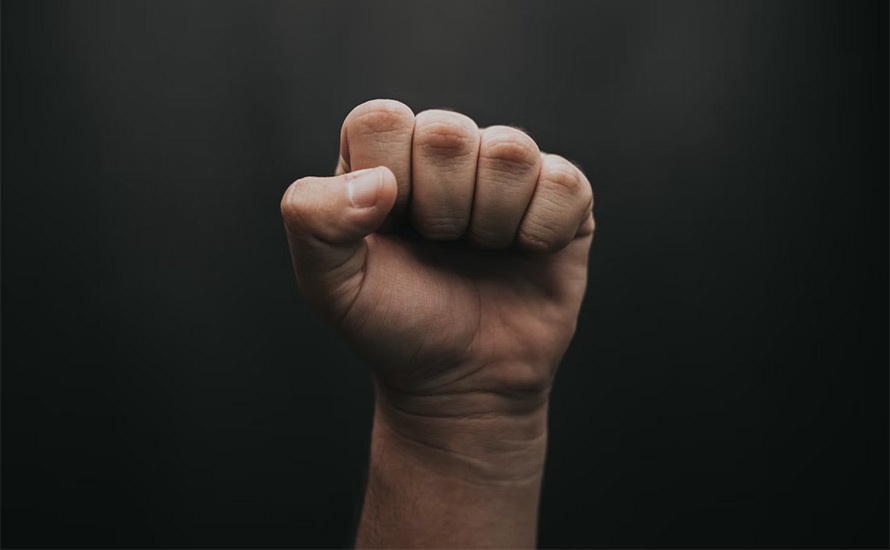 Petter Brolin: När socialismen dog men revolutionären överlevde
