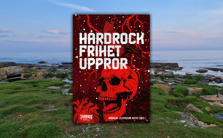 Patrik Strömer: Uppror och politik