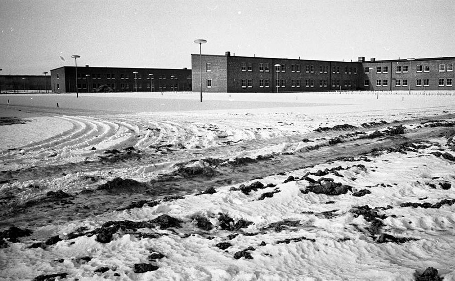 Edward Hamilton: Vårda svensk kriminalvård