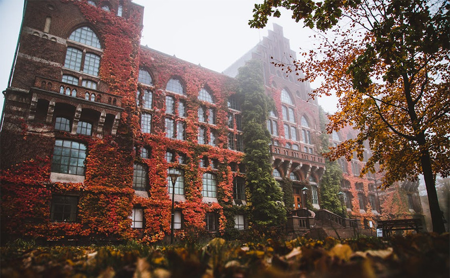 Amanda Wollstad: Akademin är inget kuddrum