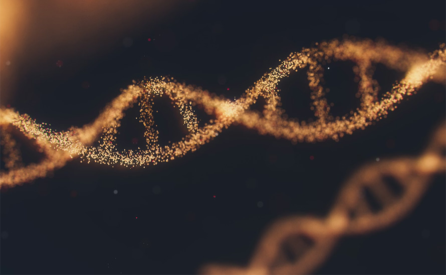 Sten Niklasson: Zipf och DNA